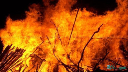 फाइल तस्बिर।