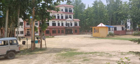 फाइल