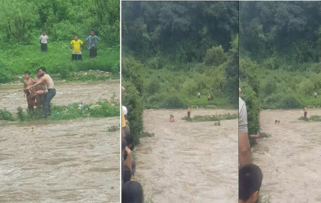 तस्बिर सौजन्य: कीर्तिपुर सेरोफेरी।