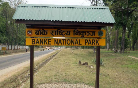 फाइल