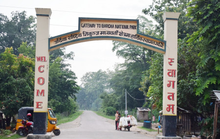 फाइल।
