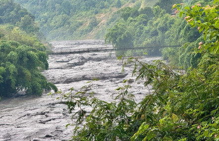 फाइल तस्बिर।