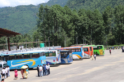 फाइल तस्बिर।