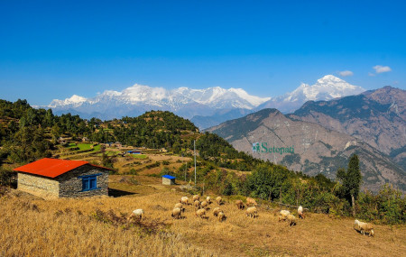 म्याग्दीको मंगला गाउँपालिका–५, चाङ्गा खर्कबाट देखिएको गुर्जा, चुरेन र धौलागिरि हिमशृङ्खला। तस्बिरः अमृत भादगाउँले