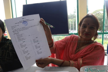 फाइल तस्बिर।