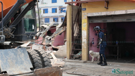 भत्काउन लागेको घरमा फर्की फर्की गइरहेको त्यो सेतो कुकुर