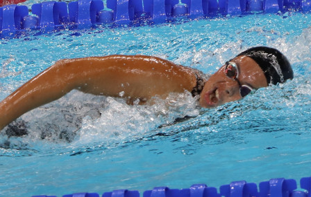 फाइल तस्बिर। डुवाना लामा।