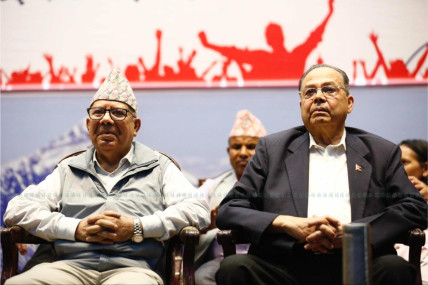 फाइल तस्बिर।