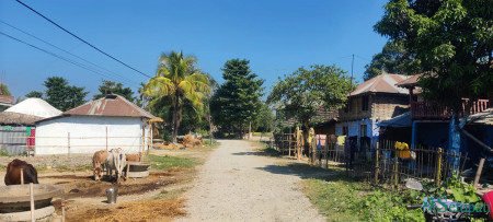 फाइल तस्बिर