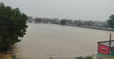 फाइल तस्बिर