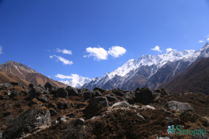 फाइल तस्बिर