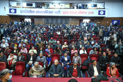 तस्बिरमा हेर्नुस् प्रगतिशील लोकतान्त्रिक पार्टी घोषणा सभा