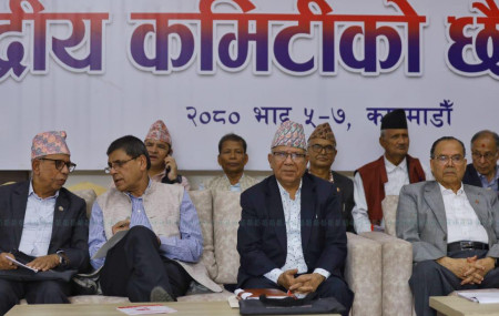 एकीकृत समाजवादीको केन्द्रीय कमिटी बैठक। फाइल तस्बिर