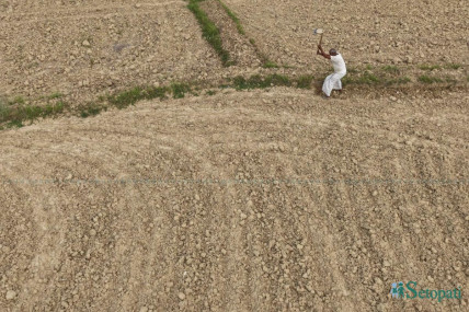 के हो यसपालि विश्वलाई तर्साउँदै गरेको 'एल निनो'?