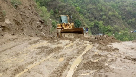 फाइल तस्बिर।