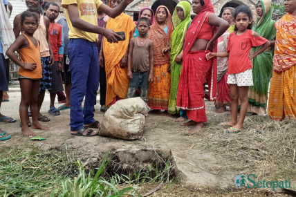 तस्बिरः रोहित महतो/ सेतोपाटी
