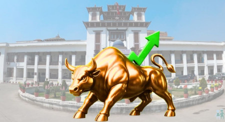 के अहिले सेयर बजार राजनीतिक कारणले बढेको हो?