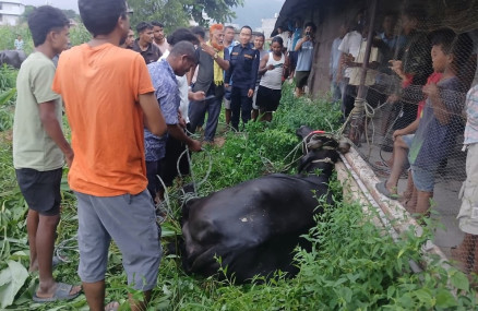 तस्बिर सौजन्यः नरेन्द्र केसी