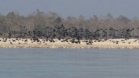 फाइल तस्बिर