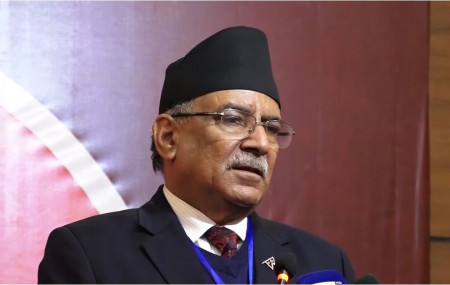 फाइल तस्बिर।