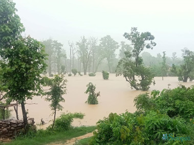 फाइल