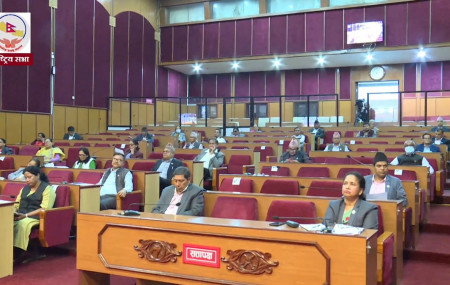 फाइल तस्बिर।