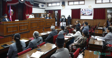 तस्बिरः नवीनबाबु गुरूङ/सेतोपाटी।