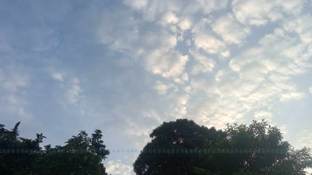 फाइल तस्बिर