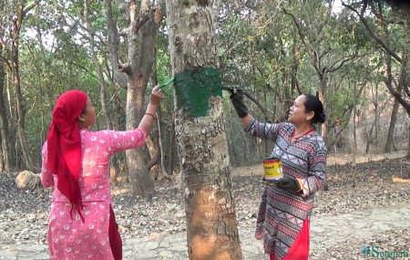 फाइल।
