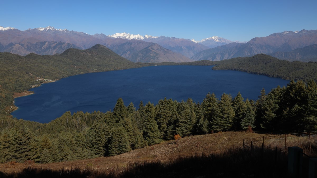 4D1A4671-1749897826.JPG
