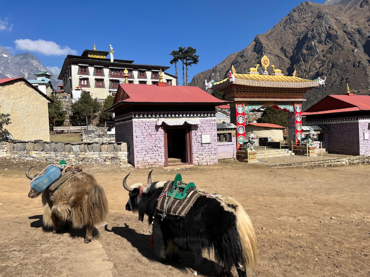 5-tengboche-gumba-by-sp-1770475903.jpeg