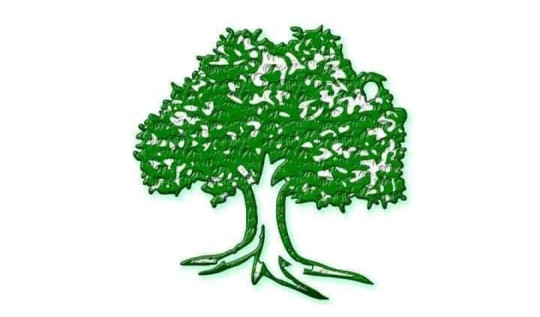 कांग्रेसले जित्यो १० सिट, कहाँ कसले?