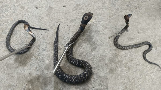 फाइल तस्बिर।