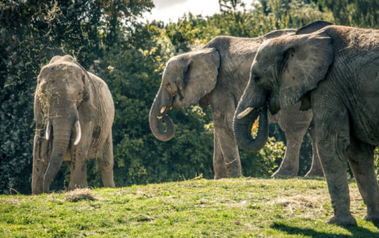 फाइल तस्बिर।