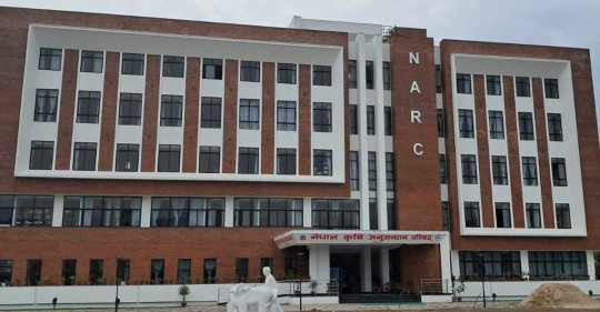 फाइल तस्बिर।