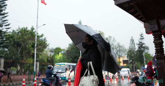 फाइल तस्बिर।