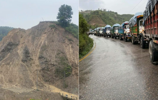 तस्बिर स्रोत- काठमाडौं महानगर