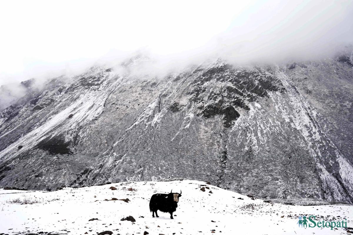 ABC-Trek_-Nepalphotolibrary.-430-ink-1746862900.jpeg