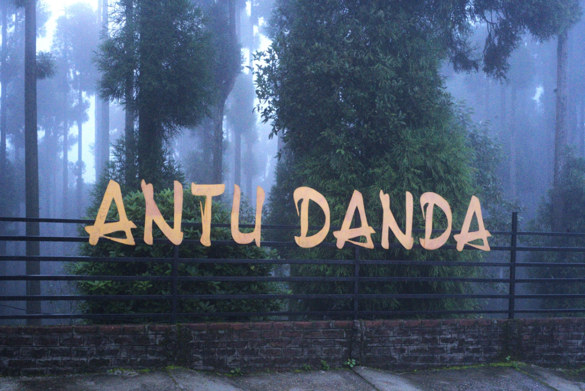 ANTU-(7)-1784379296.jpeg
