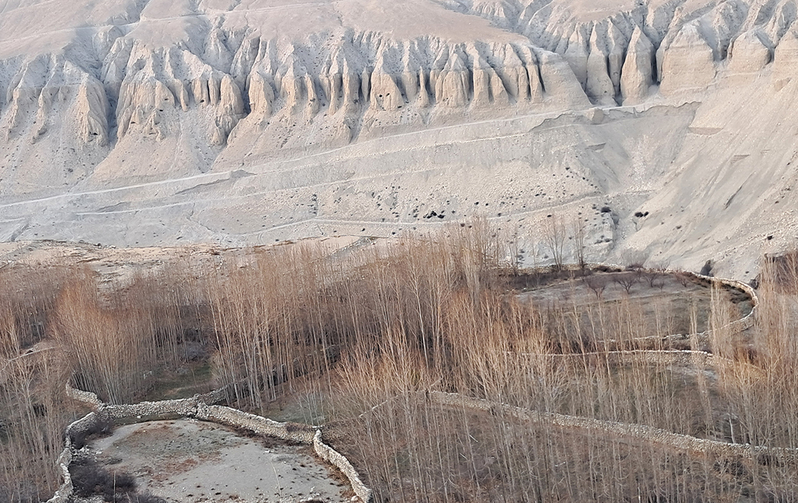 आजका तस्बिर- वैशाख १३