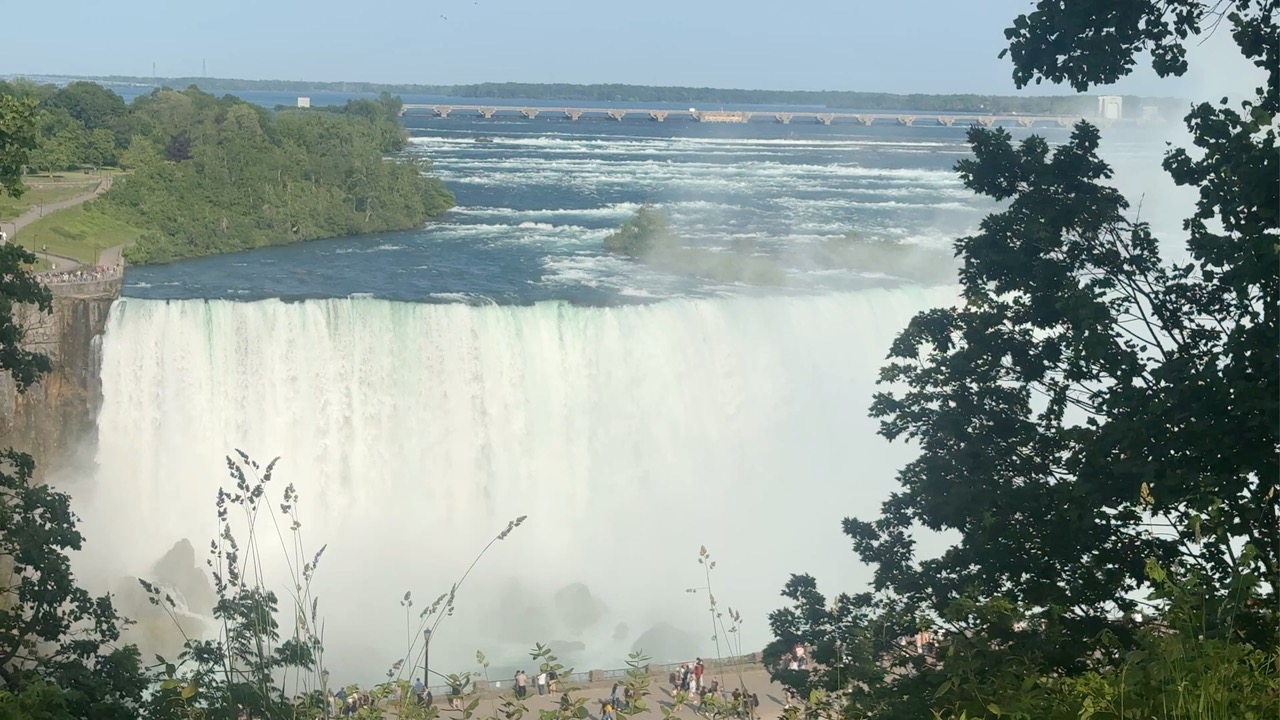 B95D154B-07B0-44B1-864C-2EB782DDF24C_1_102_o-1790950286.jpeg