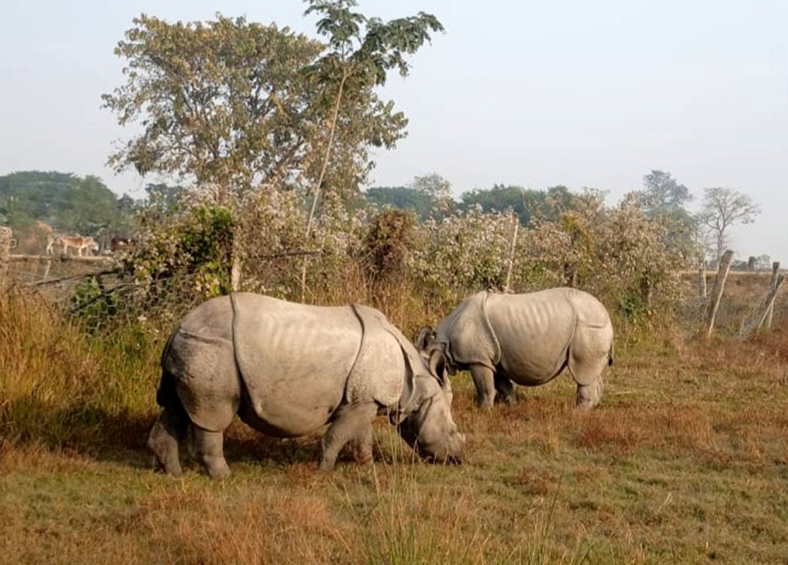 आजका तस्बिरः पुस २२