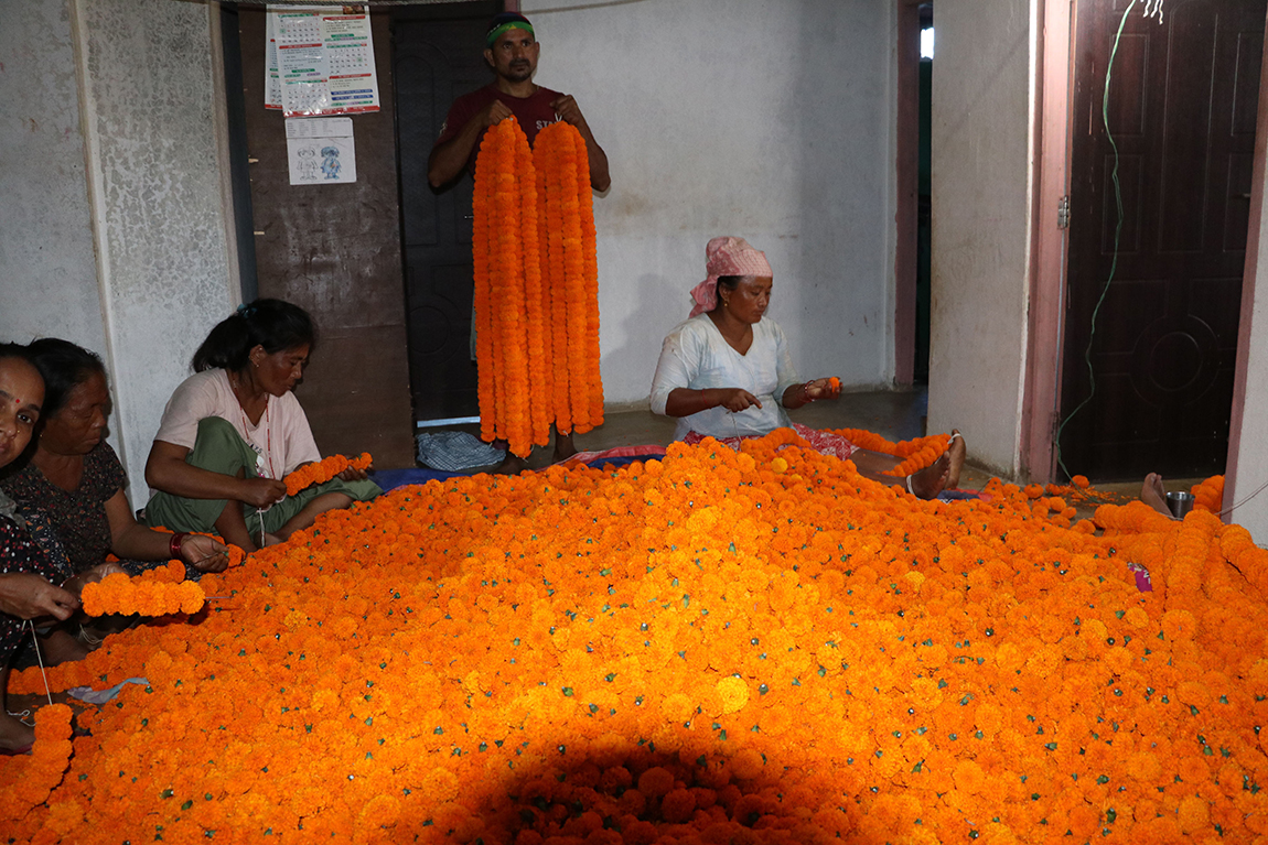 आजका तस्बिर- कात्तिक ३