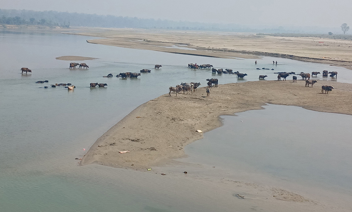 आजका तस्बिर- चैत ३०