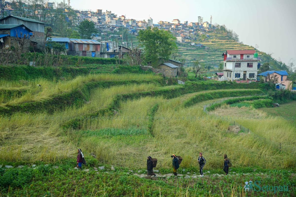 Barpak_Gorkha_DSC06710-ink-1778907356.jpeg