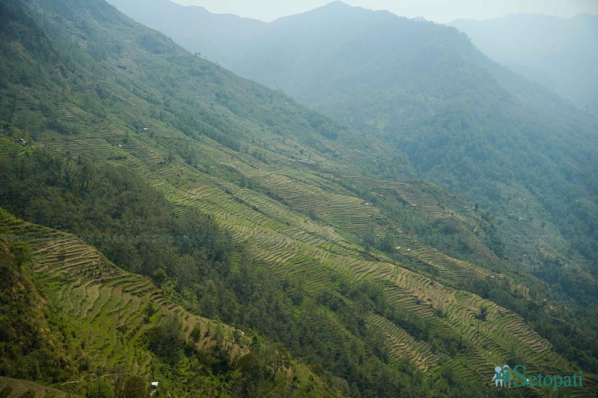 Barpak_Gorkha_DSC07012-ink-1778907357.jpeg