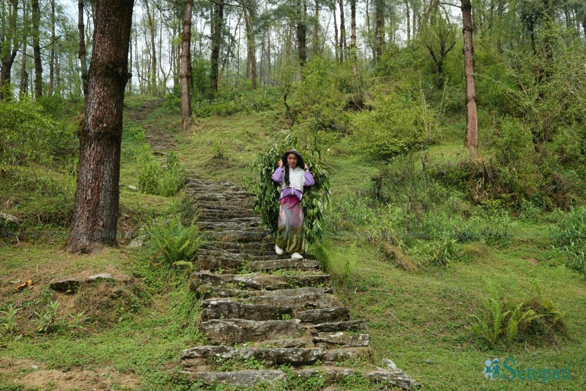 Barpak_Gorkha_DSC07179-ink-1778907358.jpeg