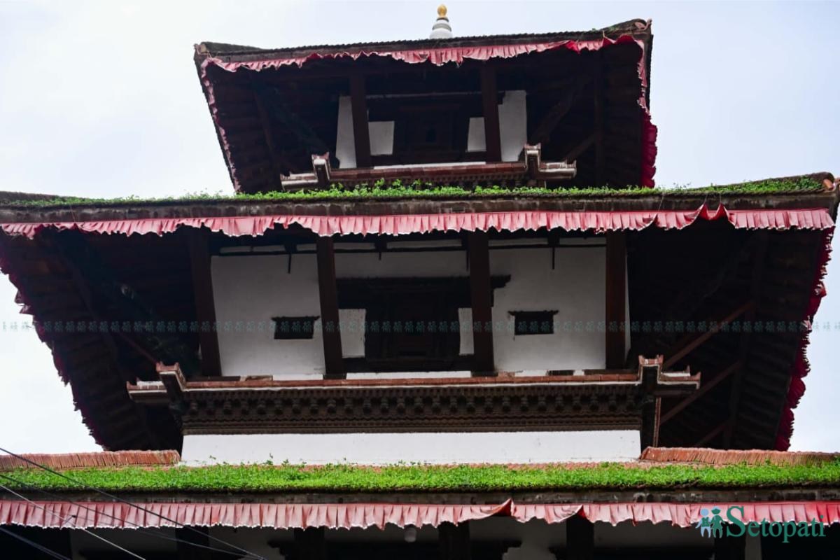 Basantapur-ma-Grass_NPL-(13)-ink-1755489582.jpeg