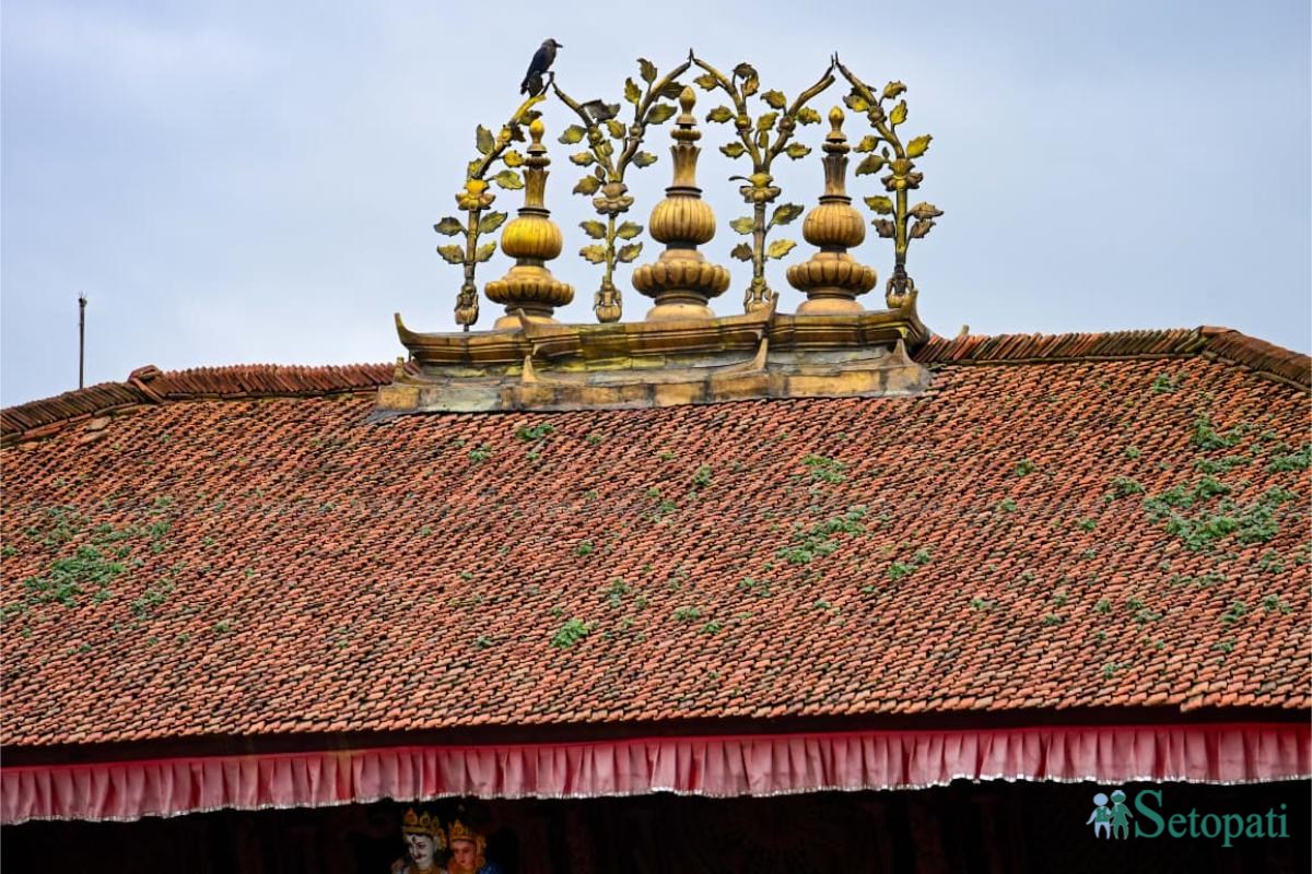 Basantapur-ma-Grass_NPL-(15)-ink-1755489583.jpeg
