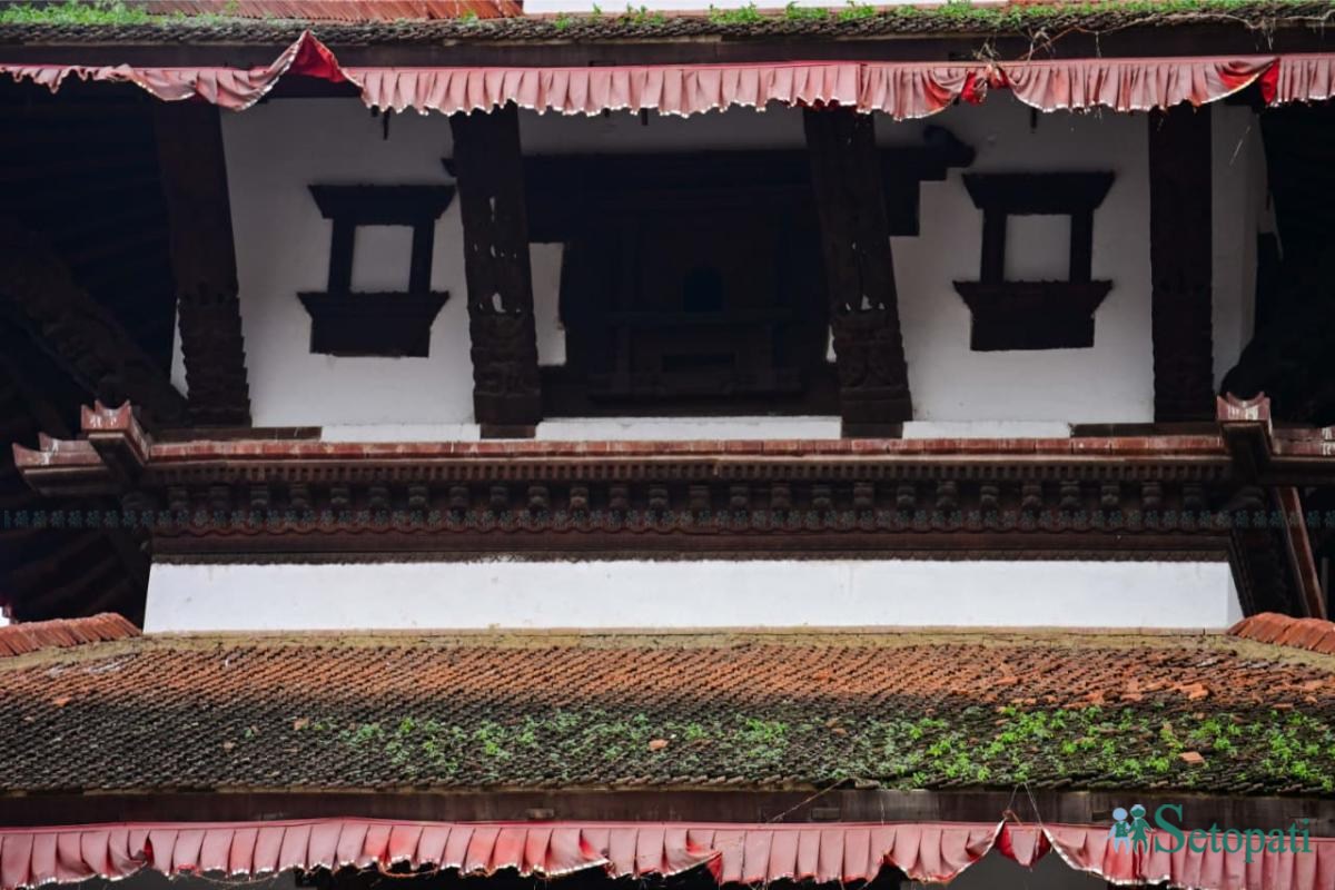 Basantapur-ma-Grass_NPL-(17)-ink-1755489584.jpeg